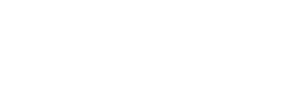 Zealth logo